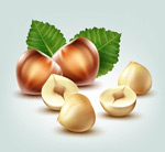 ���������ʸ��