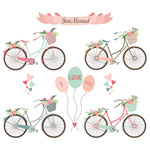 �����ֻ浥������