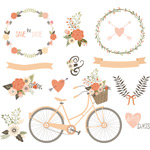 �ֻ��ɫ��������