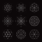 ��Լ�������Ի���