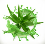 �ɽ���«��֭