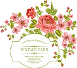 �ʻ��߿�������