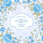 �ʻ��߿�������