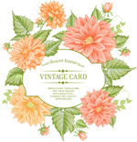 �ʻ��߿�������