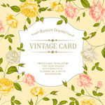 ����߿�������