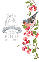 С��������