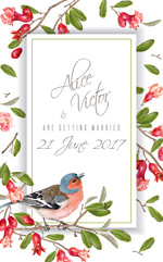 ����߿�����ؿ�