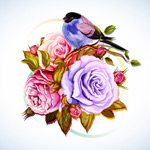 ��ɫõ��ˮ���ֻ�