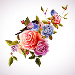 �ֻ�ˮ�ʻ���