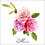 �ֻ��ɫõ�廨��