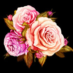 �ֻ�ˮ��õ�廨��