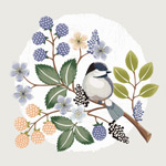 Ψ���ֻ滨��廭