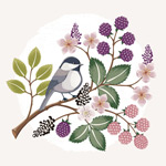 Ψ���ֻ滨��廭