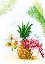 ���ܺͺ�����