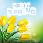 �����㻨�䱳��