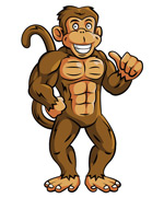 ��ͨ����ʸ��