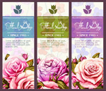 �ʻ�����