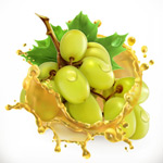 ��������ʸ��