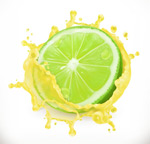 �п�������