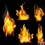 ��ɫ���л���