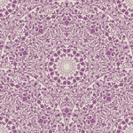 �������Ʊ���