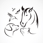 �ֻ��������Ｏ��