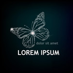 ��Ƭ������־