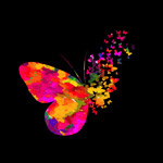 ����ˮ�ʺ���