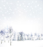 ѩ�غ�ɭ����ľ