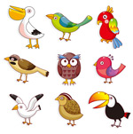 ��ʿ�ͨС��