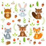 ��ͨ��ֲ�ﱳ��