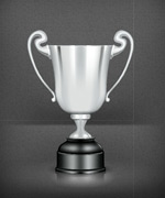 ��ɫ����ʸ��