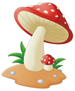 ��ɫ��ͨĢ��