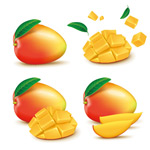 ��ζ��â��ʸ��