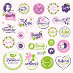 �������ݱ�ǩ