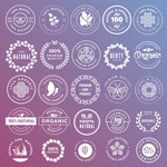 �������ݱ�����ǩ