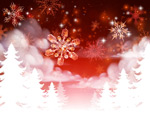 ѩ����ѩ��ʸ��