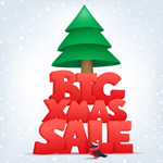 ʥ���ڴ�������