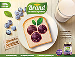  Blueberry pulp poster vector