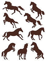 �R�걼���E�R��Ӱ