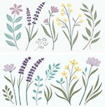 ��������ֲ��