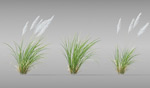 草植物模型1