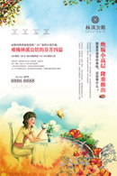 ��Ϫ���ݵز����