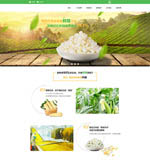 ���׹�������