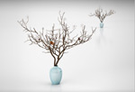 装饰树3d模型