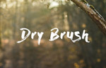 DryBrush