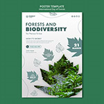 ����ɭ���պ���