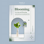 ���ԳƸ����