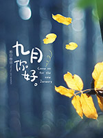 ������ù��ģ��