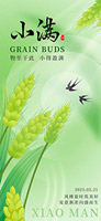 麦穗小满时节海报